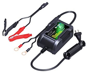 Skyrich Chargeur de Batterie 12V/2Ah