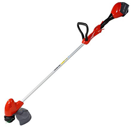 efco DECESPUGLIATORE Batteria DSi 30 40V Batteria 2,5A