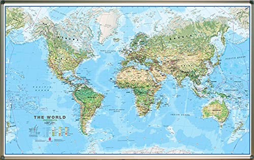 World environmental Magnettafel - Maps International 1/30M