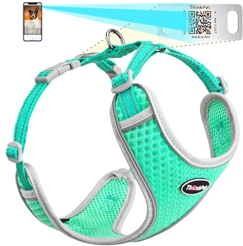 ThinkPet Hundegeschirr, reflektierend, atmungsaktiv, weiches Air-Mesh mit QR-Code, Hundemarke, Erstickungsfrei, für Welpen, kleine, mittelgroße Hunde und Katzen, Größe XS, Blaugrün