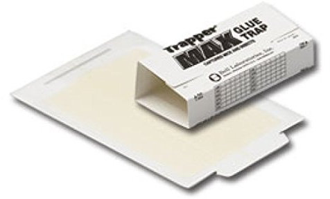 Trapper MAX Trampas de Pegamento 12 tableros de Pegamento Trampa Insectos Insectos chinches arañas cucarachas no tóxicas