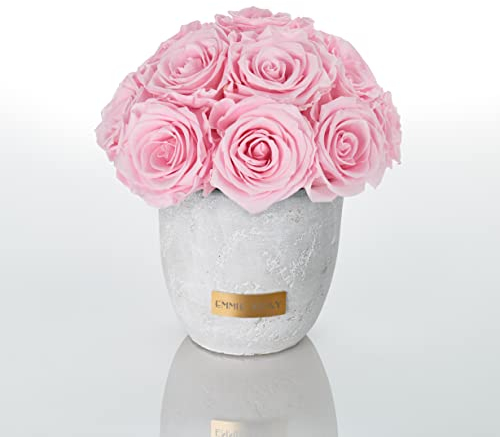Solid Infinity Collection - Traumhafte Infinity Rosen, 1-3 Jahre haltbare Rosen, Betonvase mit echten, konservierten Rosen, edle Premiumrosen - Größe S (Bridal Pink)