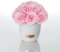 Solid Infinity Collection - Traumhafte Infinity Rosen, 1-3 Jahre haltbare Rosen, Betonvase mit echten, konservierten Rosen, edle Premiumrosen - Größe S (Bridal Pink)