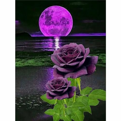Lila Mondrosen Malen nach Zahlen Erwachsene mit Rahmen Malen Nach Zahlen Kits DIY Ölgemälde Leinwand Gemälde Set mit Pinsels und Farbe Acryl Malerei Für Erwachsene Geschenk für Home Deko,50x65cm