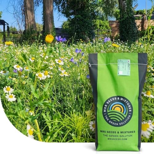 Flower Field: Grassamen mit Wildblumensamen | 1 Kilo - 200 m² | 80% Gras, 20% Wildblumen | Mehrjährige Blumenwiese Saatgut für u.a. Bienen, Hummeln und Schmetterlinge | MRS Seeds