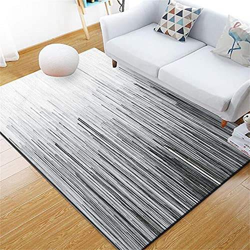 DJHWWD Schlafzimmer Teppiche Kinderteppich Grauer weißer Teppich moderner minimalistischer Wohnzimmer-Dekoration schalldicht Wasserwäsche Webteppich 80X160CM
