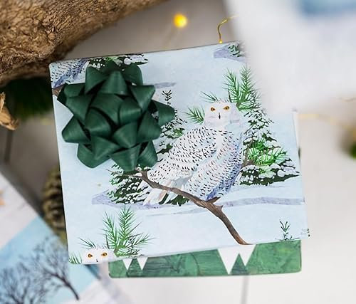 Allport Editions Geschenkpapier, Motiv: Schneeeule, wendbar, für Urlaub, Öko