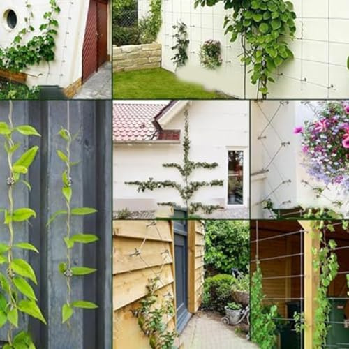 Yuanpgky Modernes Edelstahl-Draht-Rankgitter für Kletterpflanzen, 304 Marinequalität, rostfrei, Kreuzkabel-Stützsystem mit Pflanzenbindern und Ankern, DIY-Gartenwand (12 m)
