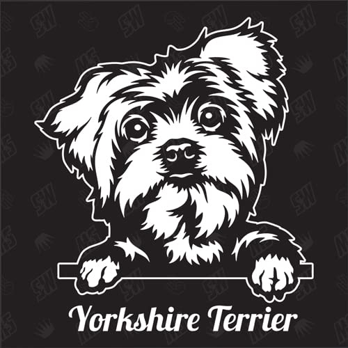 Yorkshire Terrier Version 6 - Sticker, Aufkleber, Hundeaufkleber, Autoaufkleber, Hund, Auto, Hunderassen, Mischling, Mix, Tiere, Haustier (AUCH MIT Wunschname MÖGLICH)