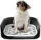 Toilettes pour Chien, Toilettes Portables avec Plateau pour Maison intérieure Chiot Balcon,Toilettes pour Chiens Teddy Chihuahua 50 * 40CM (Noir)