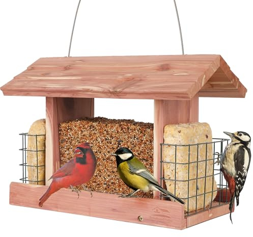 Homes G-8534 Vogelfutterstation aus Zedernholz, handgefertigt, für den Außenbereich, für Terrasse, Garten, Hof, Baum zum Aufhängen, mit Doppelfenster aus Kunststoff und doppeltem Stangenhalter
