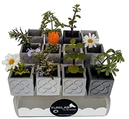 12 Mini Macetas cúbicas Panot, yumilab, Barcelona, rachola Panot, Baldosa Flor de Barcelona, Cataluña, despedida de soltera, boda Barcelona, evento Barcelona, Yumilab