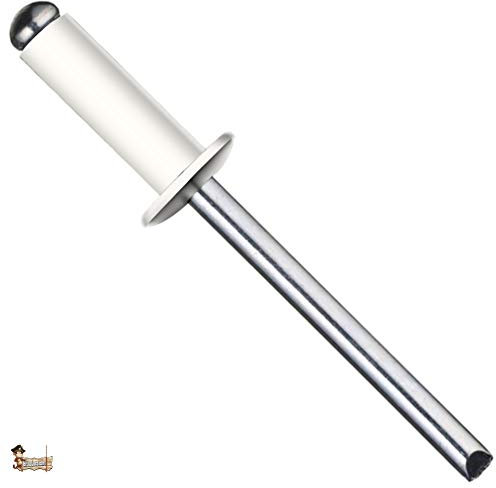 BricoLoco Rivet blanc tubulaire standard Pop DIN 7337. Aveugle. Tête ronde en aluminium et tige en acier. Industriel Spécial plaque d'immatriculation. (50, 4,8 x 8)