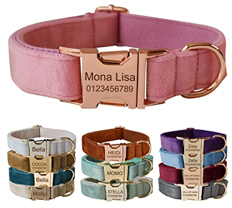Personalisiertes Hundehalsband mit Metallschnalle, individuelle Haustiermarken mit Namen, Telefonnummer, Adresse graviert, Samt Stil A