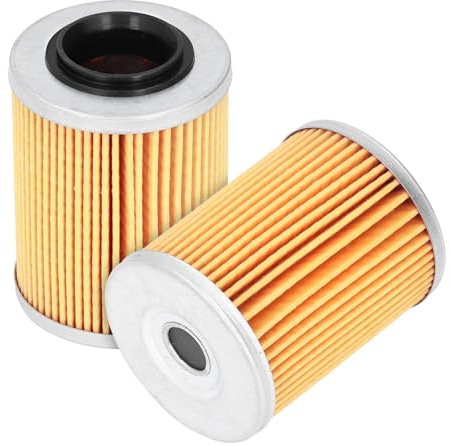 Élément de Filtre à Huile, 2 Pièces Filtres à Huile Moteur 0800-011300 Accessoires de Remplacement pour ATV CF Moto CForce UForce ZForce