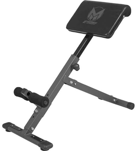 Rückenstrecker Rückentrainer verstellbar Hyperextension Multitalent für Eigengewichtstraining Bauchtrainer Rücken Stahl pulverbeschichtet Grau 9010051
