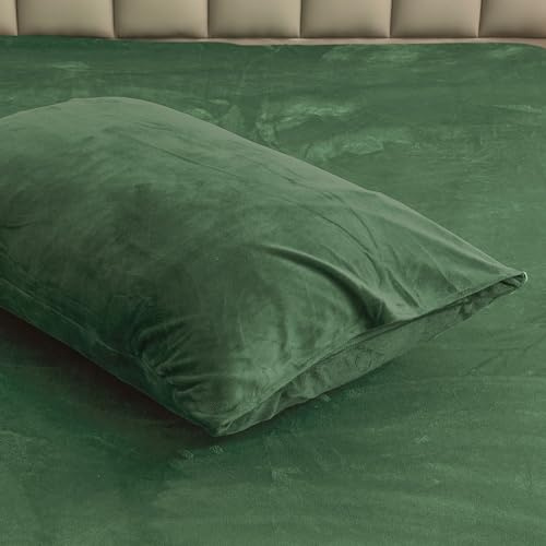 Warme Winter Kissenbezug 40x80 2er Grün Salbeigrün Samt Plüsch Flanell Fleece Flauschig Microfaser Kissenbezüge Set Uni Kissenhülle im Umschlagstil 2 Stück