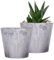 Pot de fleurs moderne | Petits pots de plantes drainantes | Pots d'aloe | Pots de plantes en marbre, trous de pots de cactus, pots de fleurs texturés en marbre, pots de fleurs d'intérieur succulentes,