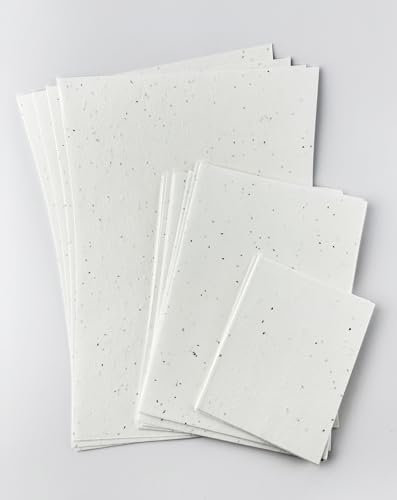 Papier mit Gänseblümchen oder Kamille, 150 g/m², Größe 148,5 x 210 mm (A5), lose Blätter aus pflanzbarem Papier für Karten, Broschüren, Speisekarten, Einladungen (10)