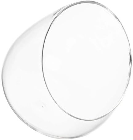 jojofuny Glasschale für Sukkulenten Moos Terrarium Schräg Geschnitten Transparentes Glas Ø 15cm Multifunktionales Pflanzengefäß für Büro Hydrokultur und Dekoration