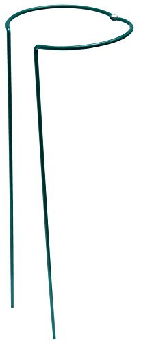 Connex Plant support hoop 16 x 16 x 45 cm | Garden hoop | Bow plant support | Plant care | Plant support | FLOR78455
