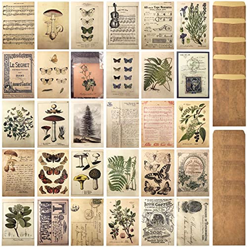 Vintage Stil Postkarte und Umschlag Set Floral Retro Pflanze Schmetterling Vintage Erinnerungen Brief Pflanze Musik Postkarte