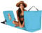 Beach mat with back rest turquoise 145x47x45cm