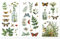 Peacoblue Rub on Transfers for Crafts 3Pcs Vintage Butterfly with Ferns 15cmx30cm, UV DTF Waterproof Furniture Transfer for Chest of Drawer Dresser Glass Porcelain Wood Plastic