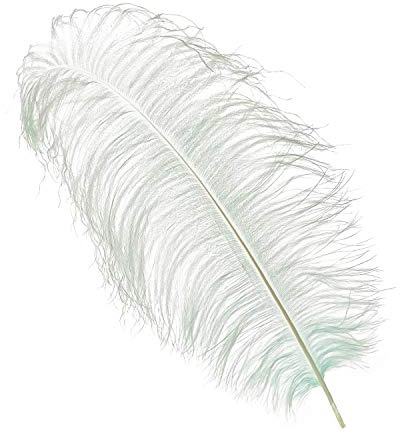 WedDecor Extra Large Silver Natural Ostrich Feathers 19-23 (50-60cm) Long for Wedding Centerpieces, Home, Decorating Costumes, Embellishment, Art & Craft, Parties (Pack of 10)