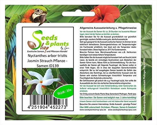 Pezzi - 10x Nyctanthes Arbor Tristis Jasmin Cespuglio Pianta - Seme ID139 - Seeds & Plants Shop by Ipsa
