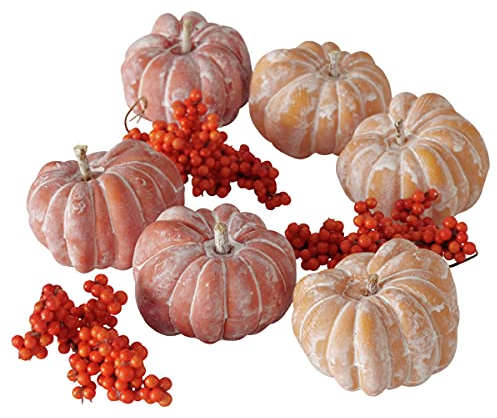 RiloStore 4 TLG Dekoset KÜRBISSE b510 Herbstdeko Kürbis 6cm beige Creme Weiss Deko Halloween Autumn Herbstdeko Dekokürbis Dekoobjekt Tischdeko Dekofrüchte