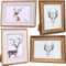 Arawat Bilderrahmen 4 Bilder 10 x 15 cm Fotorahmen Multi Bilderrahmen Collage Wandrahmen mit Plexiglas Tischrahmen Foto Rahmen Collage Wanddeko für Fotos Poster