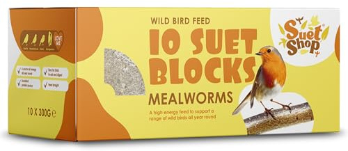 Suet Shop - Mealworm Suet Blocks for Wild Birds, 300g (Pack of 10) - Enriched with Human Grade Beef Tallow, High in Energy & Protein - All-Season Bird Feed - Manufactured In The UK