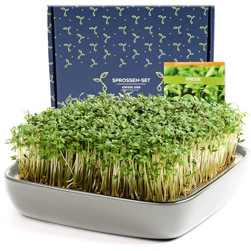 Otaro Juego de cuencos de cultivo de berros de primera calidad, incluye semillas de cresta (gris blanco), para empezar directamente, colador de gérmenes para brotes, bandeja para germinar, perfecto