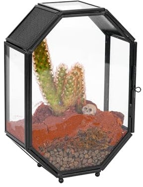 NCYP Mini terrario de cristal con ventilación y puerta para plantas suculentas, arañas saltarinas, insectos, octágono pequeño recinto geométrico cerrado, decoración de mesa interior negra, 5 x 2.3 x 7