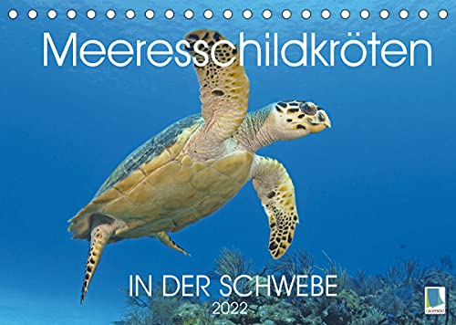 In der Schwebe: Meeresschildkröten (Tischkalender 2022 DIN A5 quer): Meeresschildkröten: In der Ruhe liegt die Kraft (Monatskalender, 14 Seiten ) (CALVENDO Tiere)