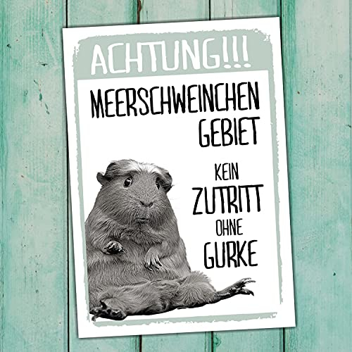 Meerschweinchen Kein Zutritt Gurke Schild lustig Spruch Türschild Warnschild Fun Metallschild Meerschwein hier wache ich Geschenkidee
