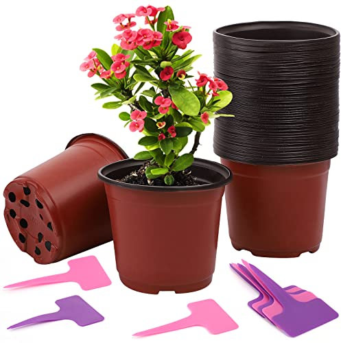 ANBET 50 Pcs Plastique Plante Pots de Fleurs 12cm Pot de Semis Pépinières Fleur Plante Conteneur Plateau de Semences Pépinière Pots et 100 Pcs Étiquettes Plantes pour Intérieur Extérieur