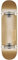 Globe Skateboard Goodstock Champagne 8.0FU