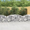 Gabion avec arc haut 200 x 50 x 60/80 cm en fer galvanisé 153473