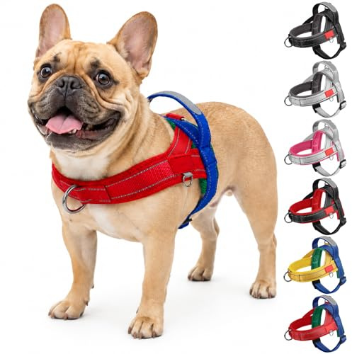 Olcyren Harnais Anti Traction pour Chien de Taille Petit Moyenne et Chiot, Harnais Réfléchissant Réglable pour Chiens avec Poignée de Contrôle, Gilet Facile à Mettre, Dog Harness (Bleu Rouge, L)