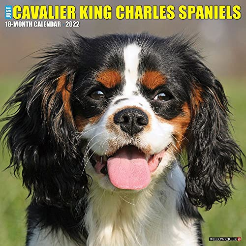 Just Cavalier King Charles Spaniels 2022 Wall Calendar