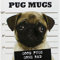 Pug Mugs: Good Pugs Gone Bad