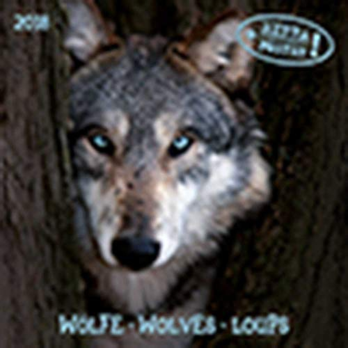 Wolves/Wölfe 2024: Kalender 2024 (Artwork Edition)