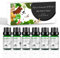 Mumianhua Wintergewürz Set Ätherische Öle - 6x10ml Natürliche Mischungen für Diffuser, Kerzen & Massage (Fenchel, Ingwer, Zimt, Muskatnuss, Litsea Cubeba, Schwarzer Pfeffer)