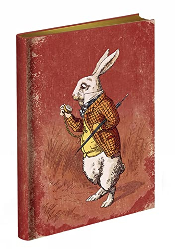 Too Late, Said the Rabbit