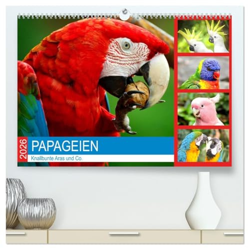 Papageien. Knallbunte Aras und Co. (hochwertiger Premium Wandkalender 2026 DIN A2 quer), Kunstdruck in Hochglanz: Pfiffige Schönheiten im leuchtenden Federkleid! (CALVENDO Tiere)