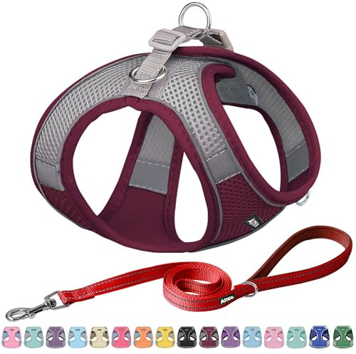 AIITLE Bequemes Hundegeschirr und Leine Set zum Gassi gehen - Step in Vest Harness, Reflektierende Bänder, Einstellbare No Pull Puppy Essentials, für kleine Hunde und Hauskatzen Burgund XS