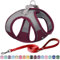 AIITLE Bequemes Hundegeschirr und Leine Set zum Gassi gehen - Step in Vest Harness, Reflektierende Bänder, Einstellbare No Pull Puppy Essentials, für kleine Hunde und Hauskatzen Burgund XS