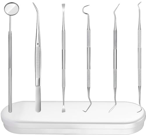 6 Pieces Dental Tools Set, Professional Stainless Steel Dental Hygiene Cleaning Kit with Case, Including Dental Mirror, Plaque Tartar Remover for Teeth, Tweezers, Probe, and Pick Scaler for Oral Care